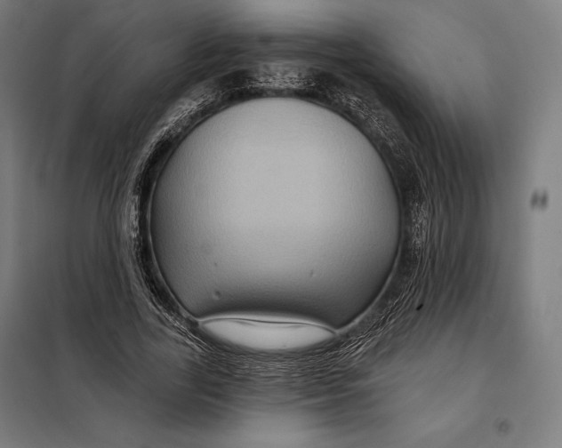 X0000097890731200804041309