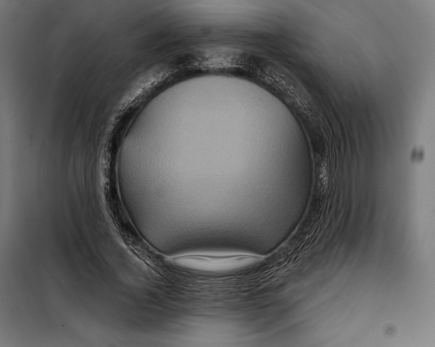 X0000097890732200804041309