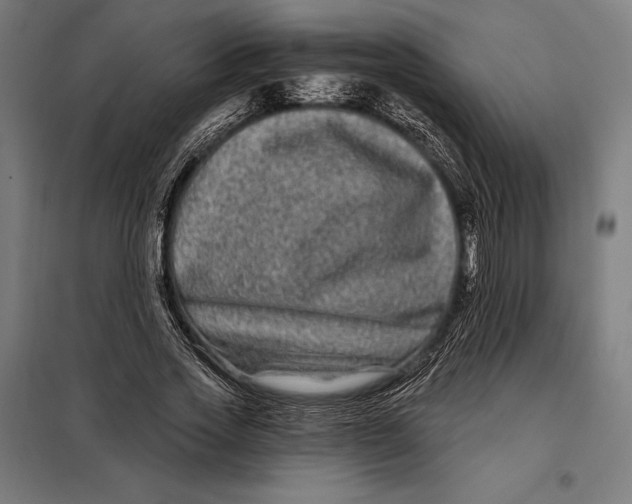 X0000097890733200804041309