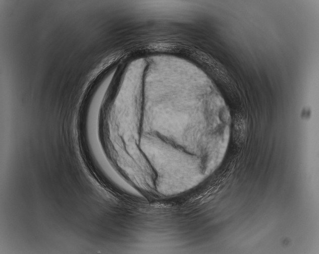 X0000097890734200804041309