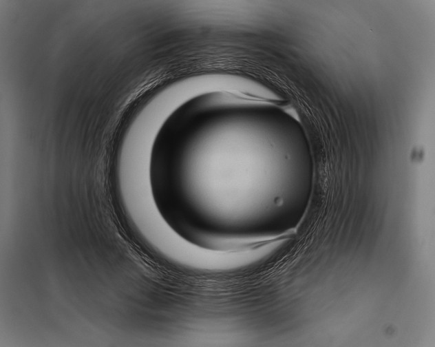 X0000097890735200804041309