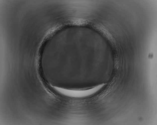 X0000097890736200804041309