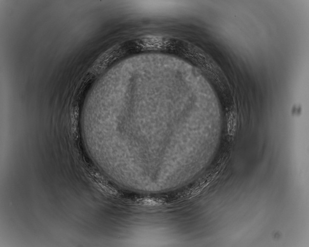 X0000097890737200804041309