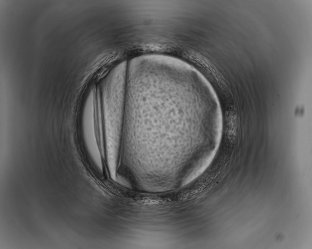 X0000097890738200804041309