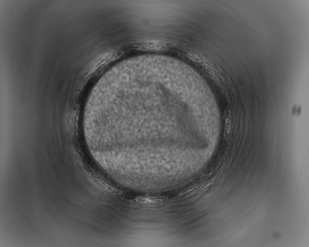 X0000097890739200804041309