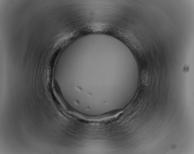 X0000097890740200804041309