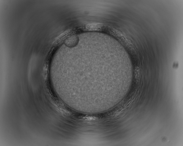 X0000097890741200804041309