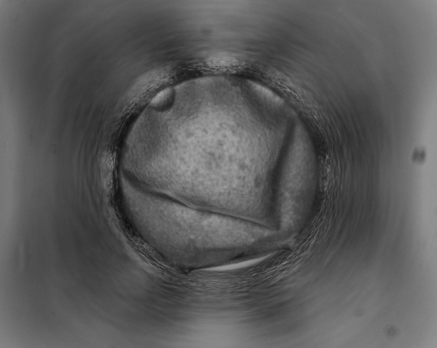 X0000097890742200804041309