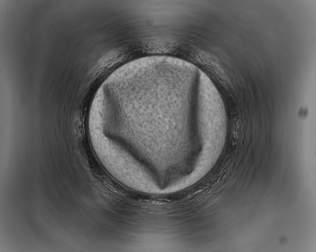 X0000097890743200804041309