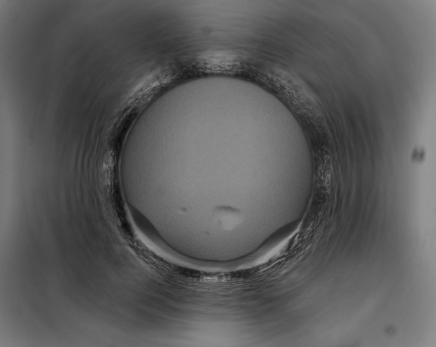 X0000097890744200804041309