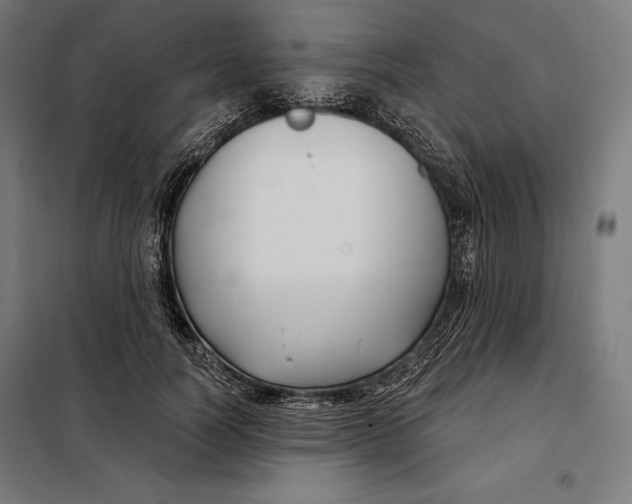 X0000097890746200804041309