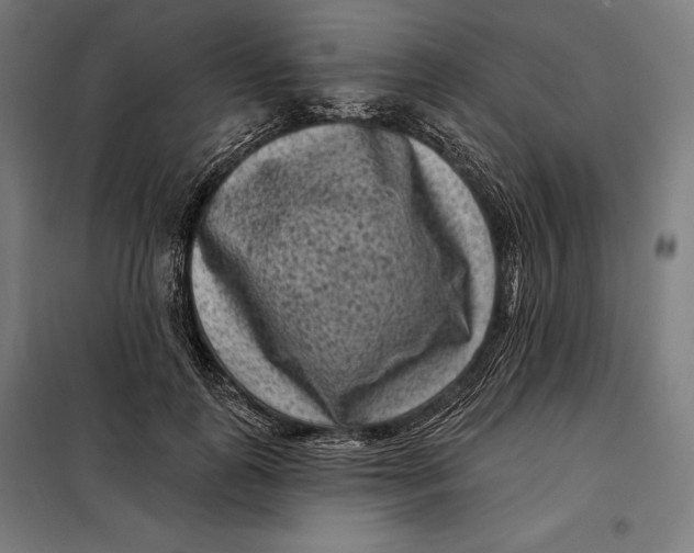 X0000097890747200804041309