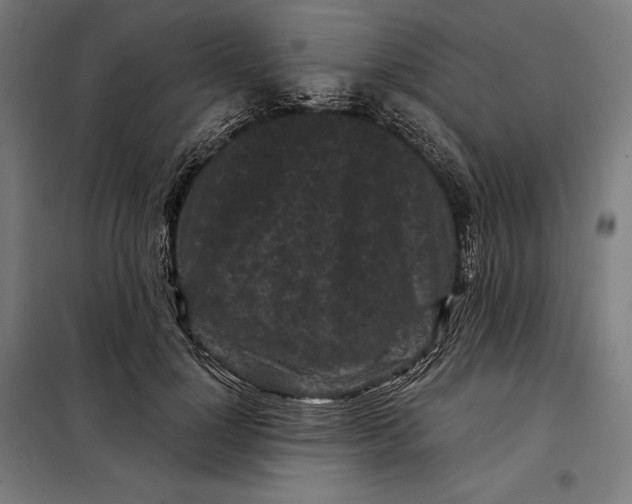 X0000097890748200804041309