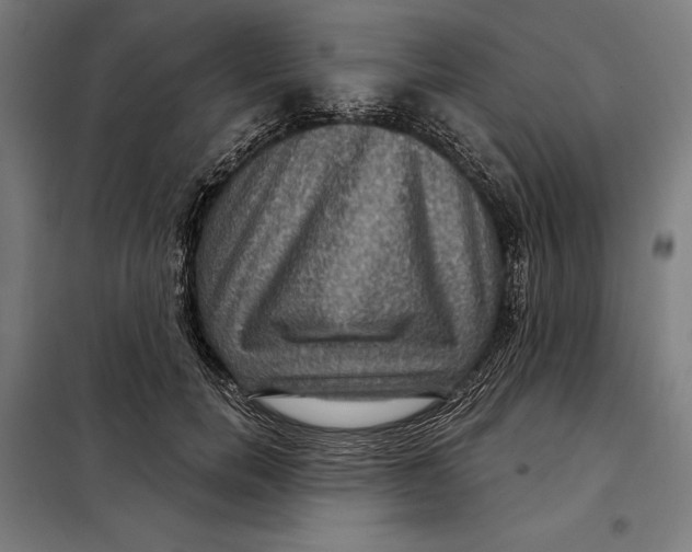 X0000097890750200804041310