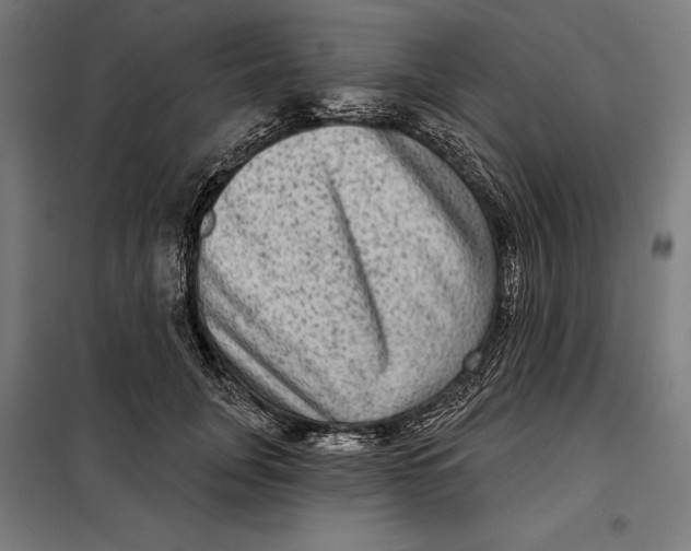 X0000097890751200804041310