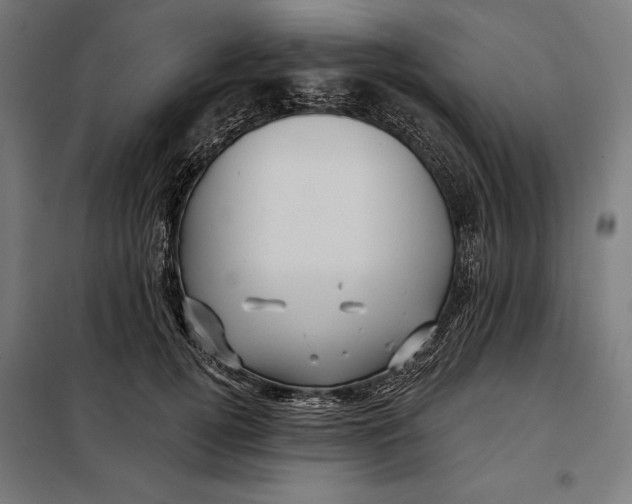 X0000097890752200804041310