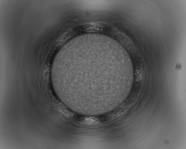 X0000097890753200804041310