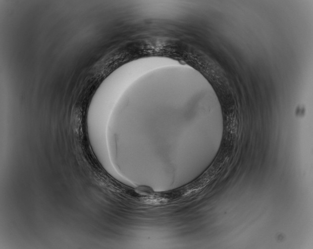 X0000097890754200804041310