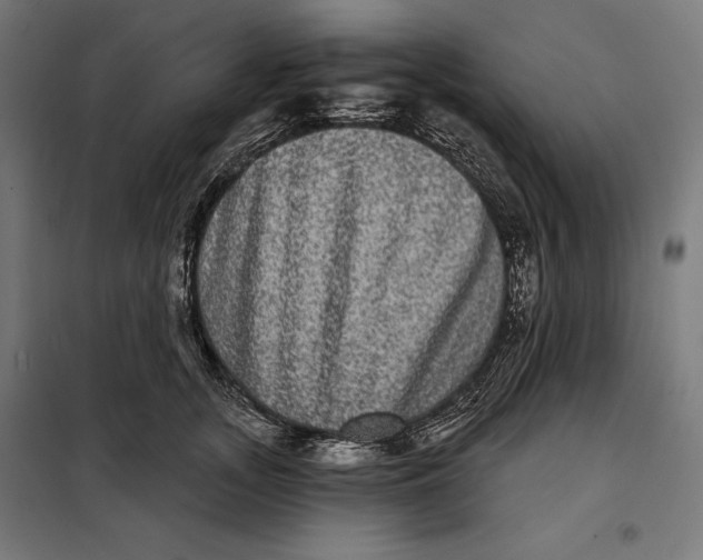 X0000097890755200804041310