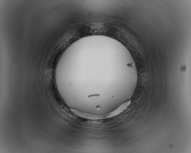 X0000097890756200804041310