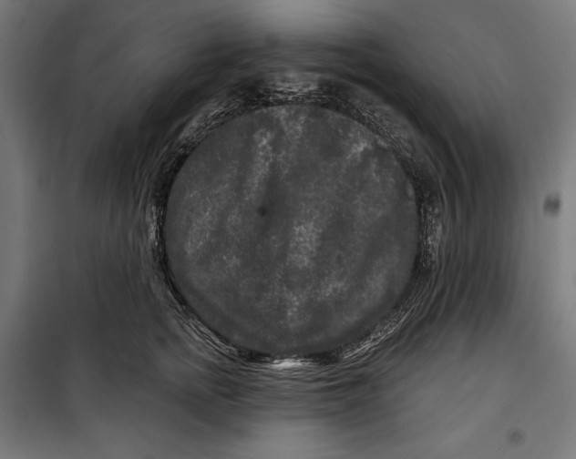 X0000097890758200804041310