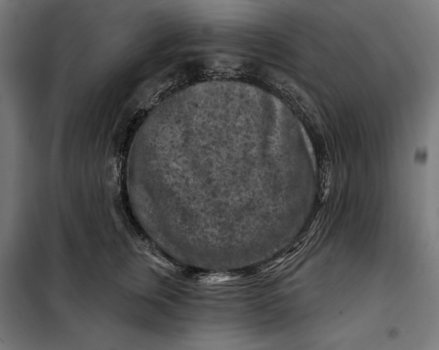 X0000097890759200804041310