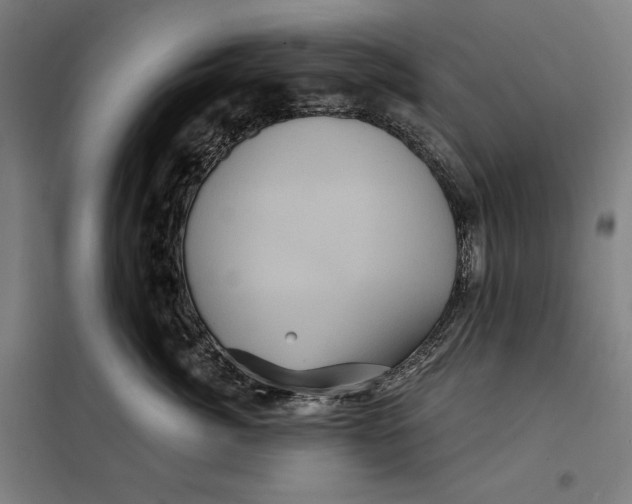 X0000097890764200804041310