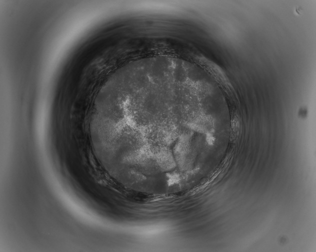 X0000097890765200804041310