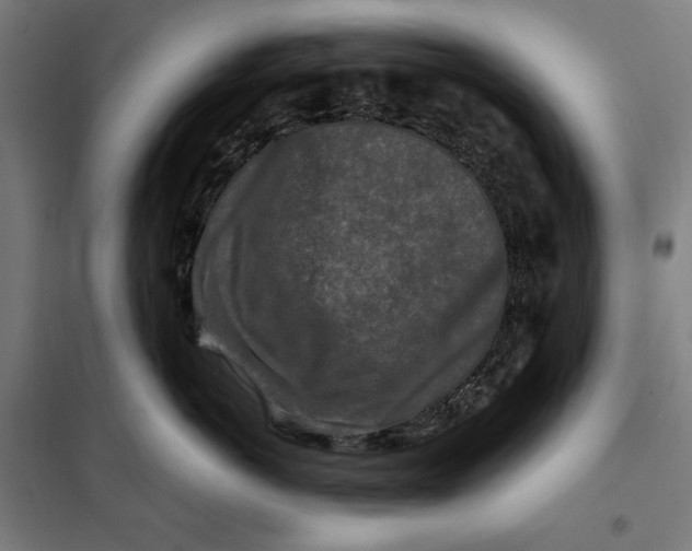 X0000097890766200804041310