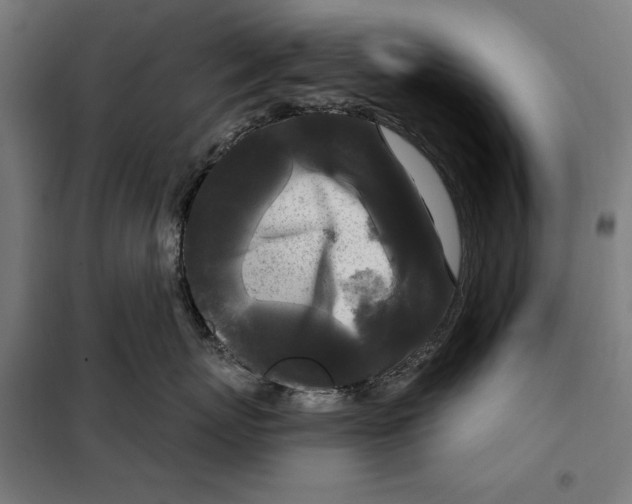 X0000097890767200804041310