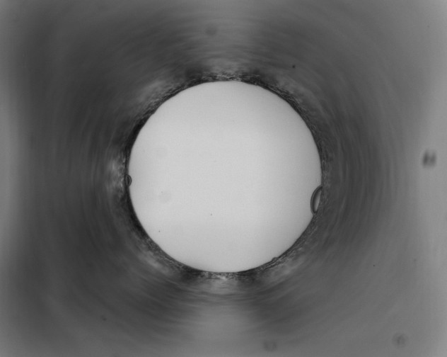 X0000097890768200804041310