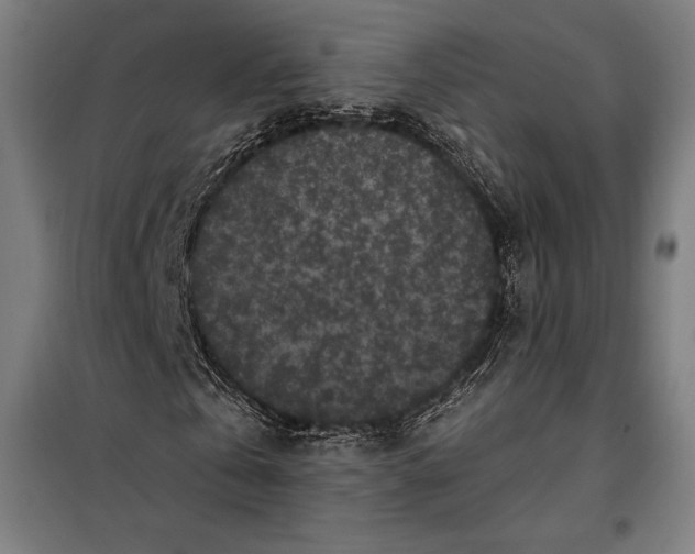 X0000097890769200804041309