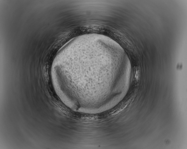 X0000097890771200804041309