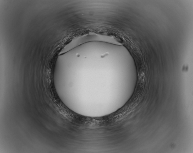 X0000097890772200804041309