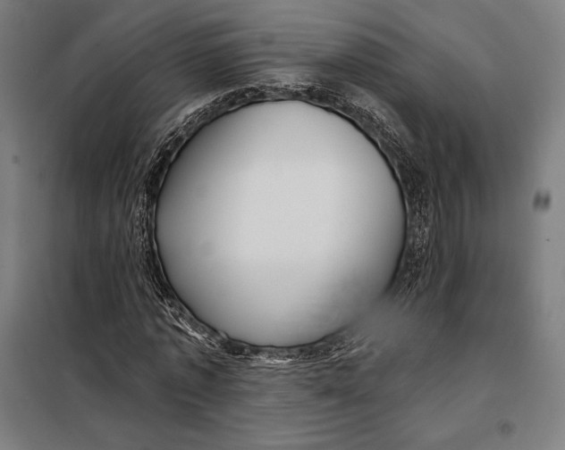 X0000097890773200804041309