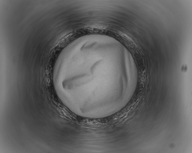 X0000097890774200804041309