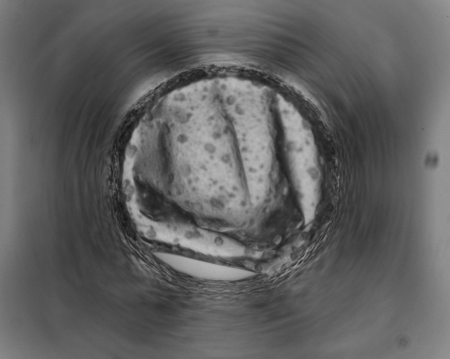 X0000097890775200804041309