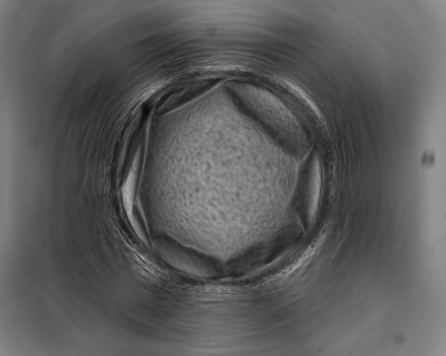 X0000097890777200804041309