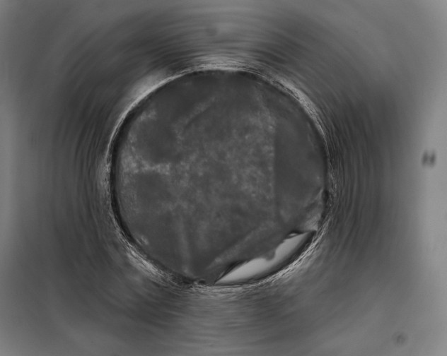 X0000097890779200804041309