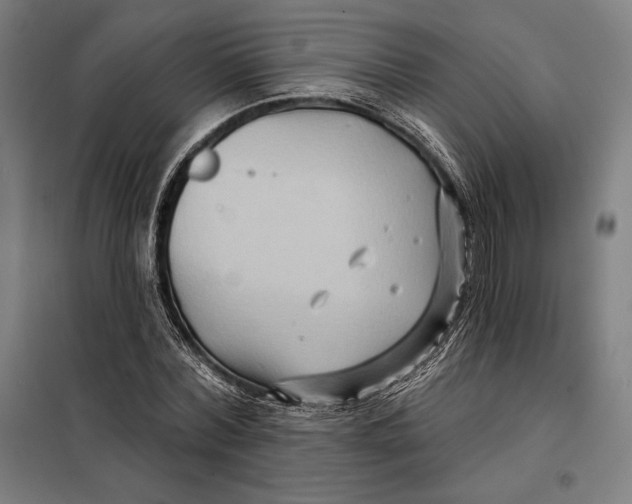 X0000097890780200804041309