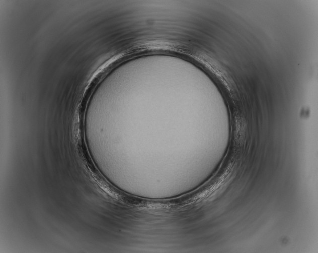 X0000097890782200804041309