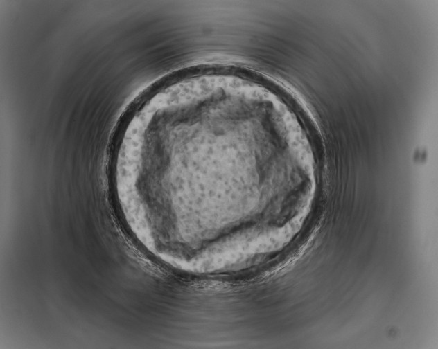 X0000097890783200804041309