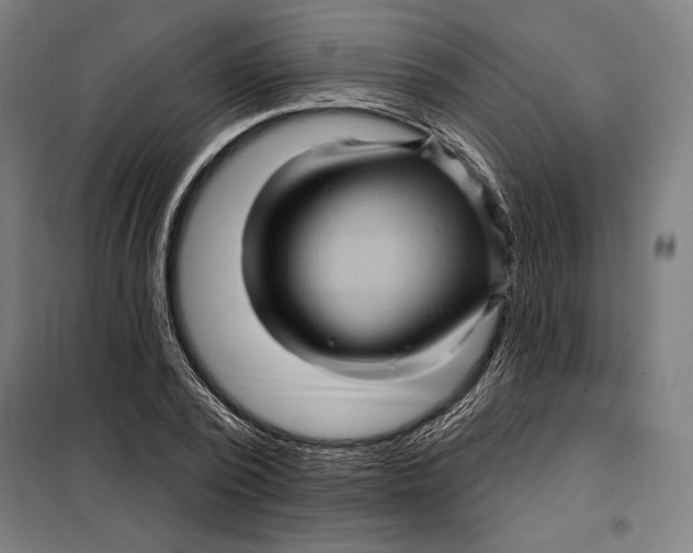 X0000097890784200804041309