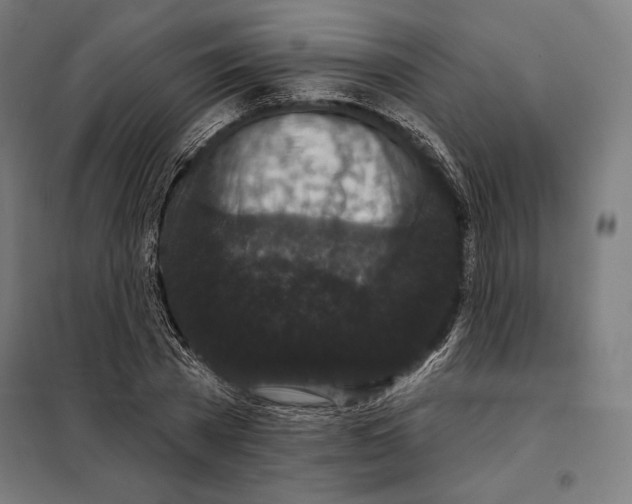 X0000097890785200804041309