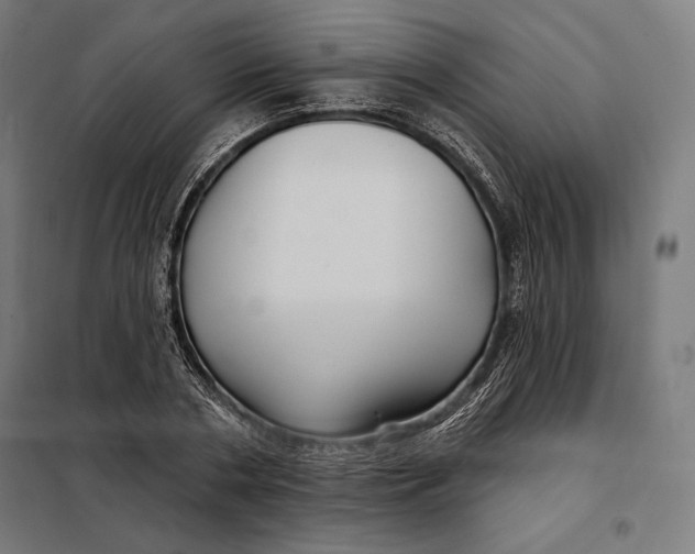 X0000097890786200804041309