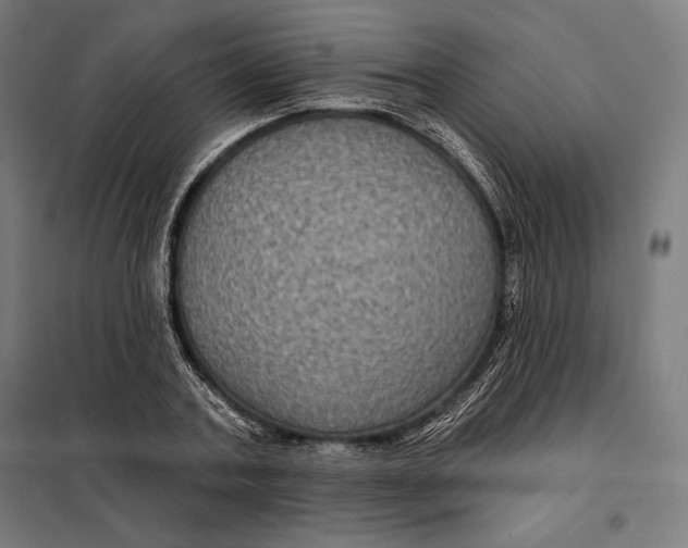 X0000097890787200804041309