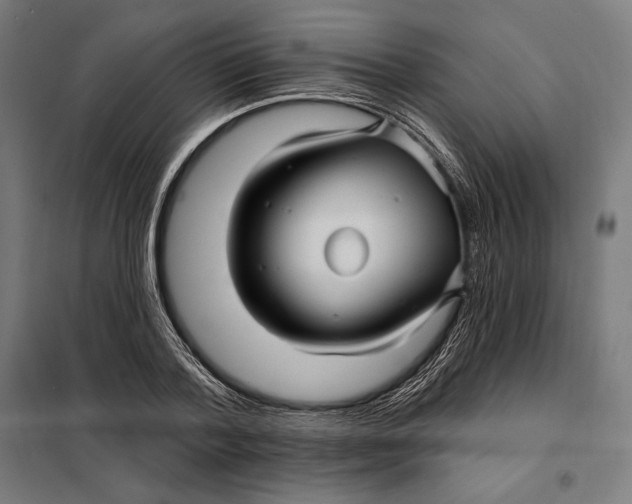 X0000097890788200804041309