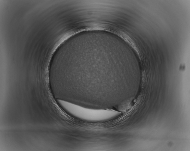 X0000097890789200804041309