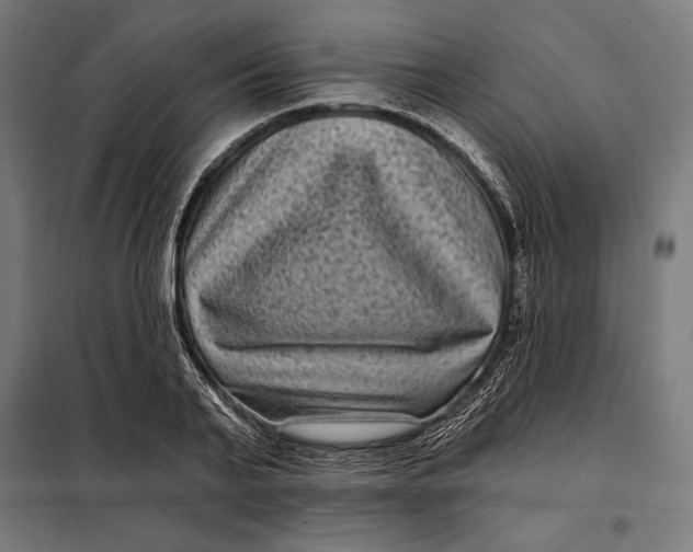 X0000097890791200804041309