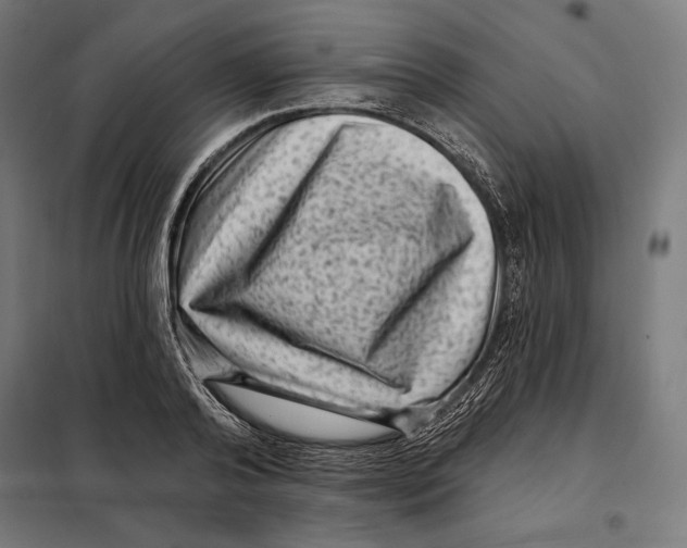 X0000097890792200804041309